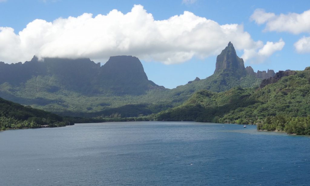 Wenzlaff.de Powerful Visuals About Psychology & Life and more